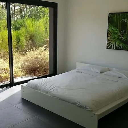California Piscine Chauffée 14x4m Moulleau Abatilles 10 Pers *
