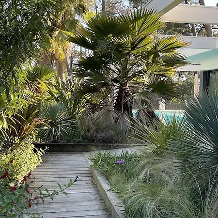 California Piscine Chauffée 14x4m Moulleau Abatilles 10 Pers *