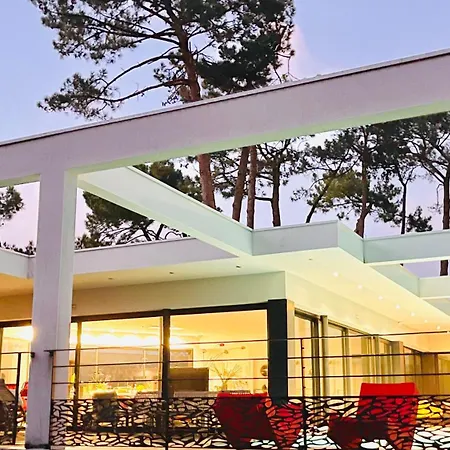 California Piscine Chauffee 14x4m Moulleau Abatilles 10 Pers Arcachon